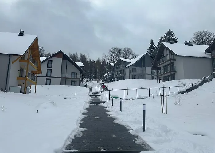 Apartment Czarne Owce